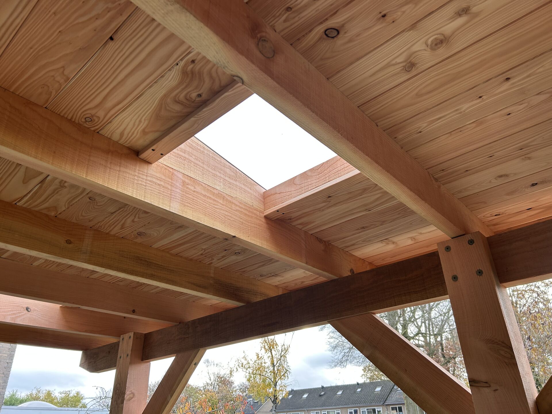 Overkapping douglas zijaanzicht