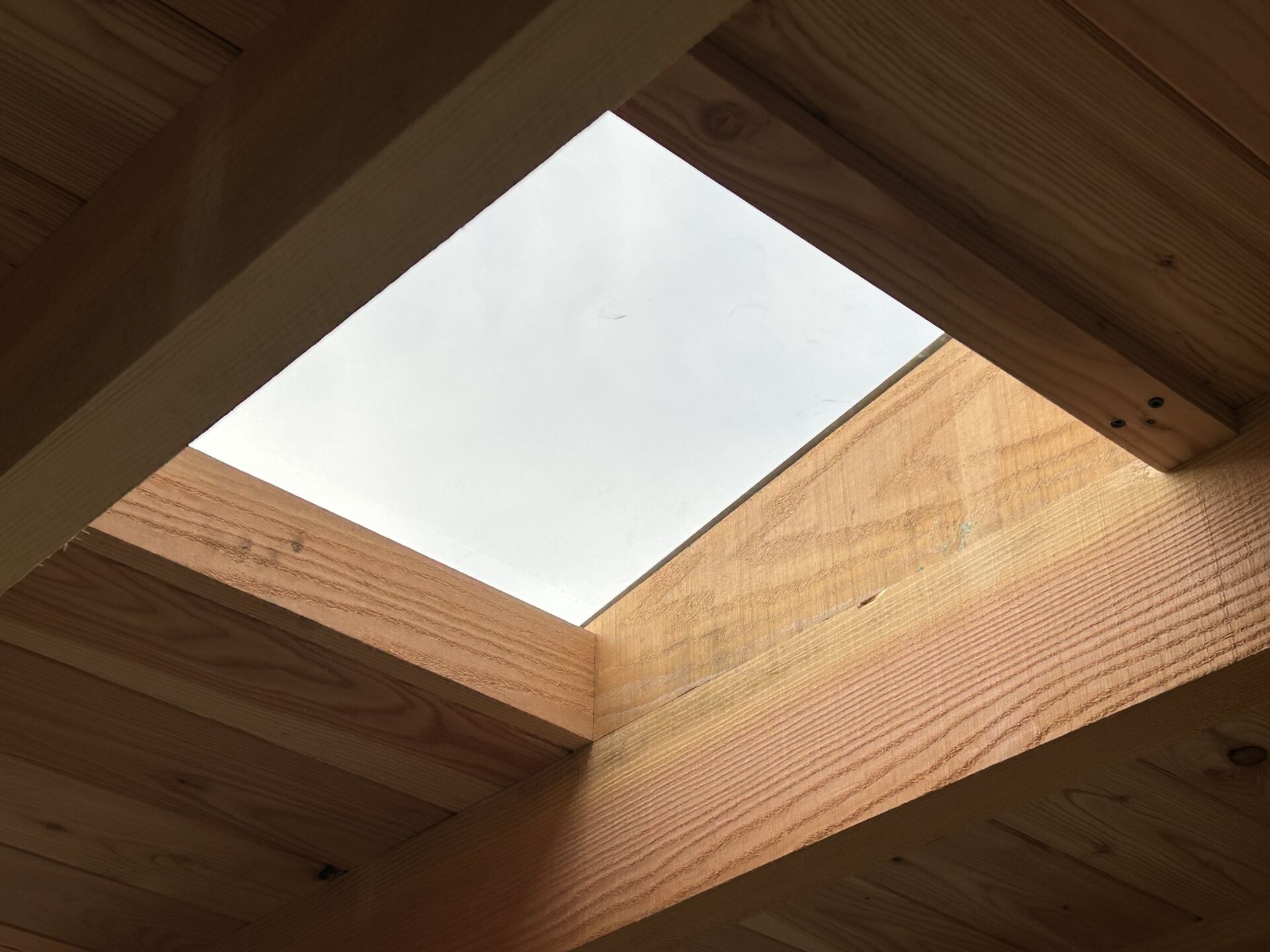 Overkapping douglas afwerking